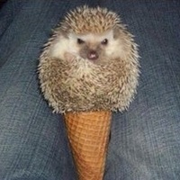 Terminator Hedgehog