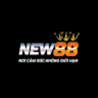NEW88