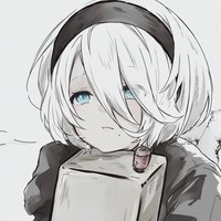 .orthbox 