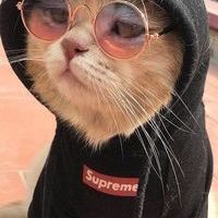 coca_cola229