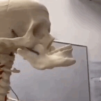 Meanwhile skeleton
