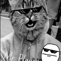 Mr Player