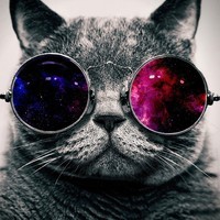 Кот "Космос" 