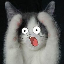 Coub profile picture for @uncertain