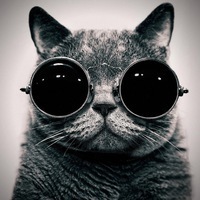 Карина Котова