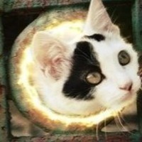 portal v abhaziyu