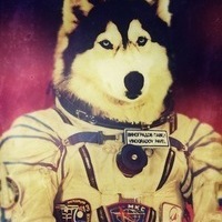 Дмитрий Водников