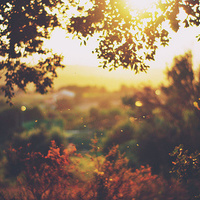 AnreyVorobey