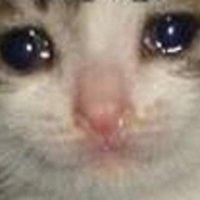 Потеря лиственности