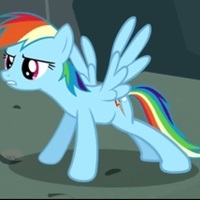 Swager Brony 