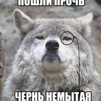 Серый Стукаленко