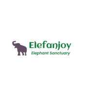 elefanjoyseowork