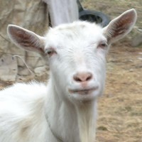 REtard26