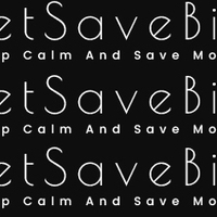 letsavebig12