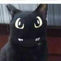 Alexander