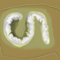 Experimental