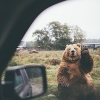 Александр Федоренко