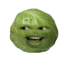 Capusta