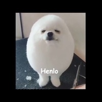 Пердушка