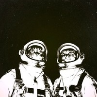 Антон Макаров