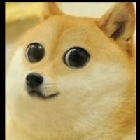 Doge