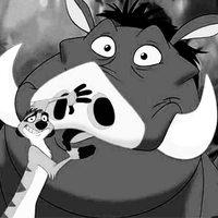 Timon&Pumba