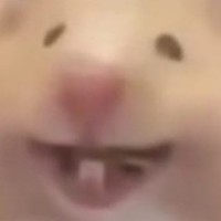 HamSter