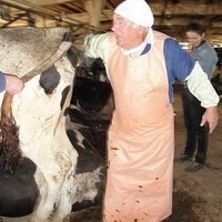 Ш Д е в р и ш о в