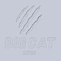 Big Cat Cues