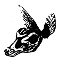 7281-3618