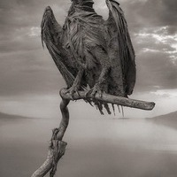 Виктор Гут