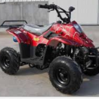 gas powered beginners kids atvs