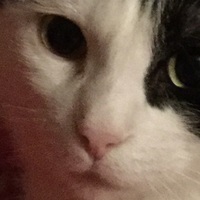 Anything4views