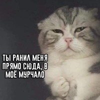 Паша
