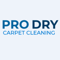 Prodry Carpet