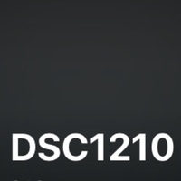 DSC1210