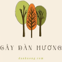 danhuongvietnam1