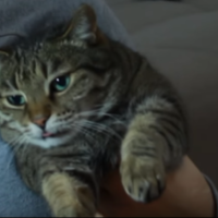 крекер