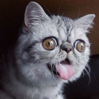 поднятие настроения 