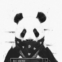 PandABOZ