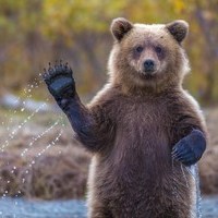 Baikal