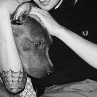 Aleksandr Orlov