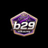 B29 