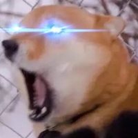 Faggitoli_The_Ravioli