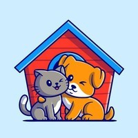 Pets Video