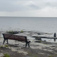 Андрей Косарев