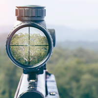 rangerexpert