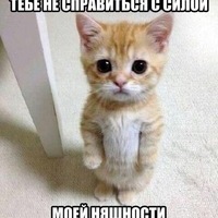Олег Желнин