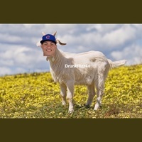 Wilson Goatreras