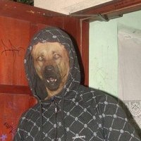 Михаил Ивановичев